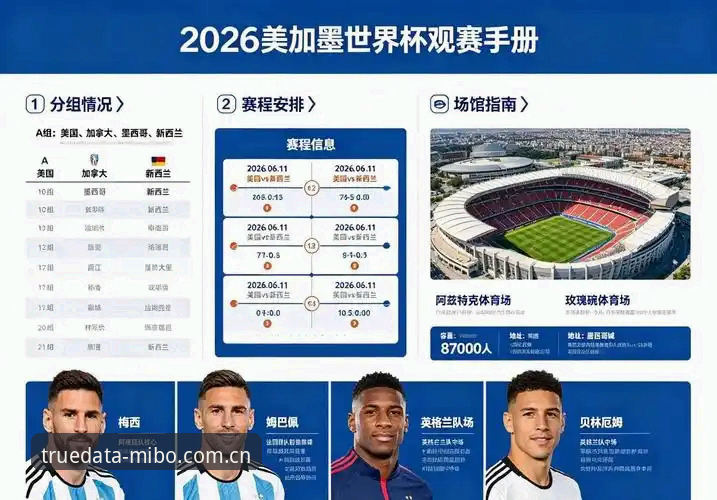 2026世界杯观赛体验深度评测：地缘政治如何改变球迷赴美行程？